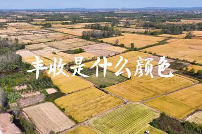春種一粒粟，秋收萬顆子。多彩的豐收季，只愿五谷豐登，百事興旺3.240_400.jpg